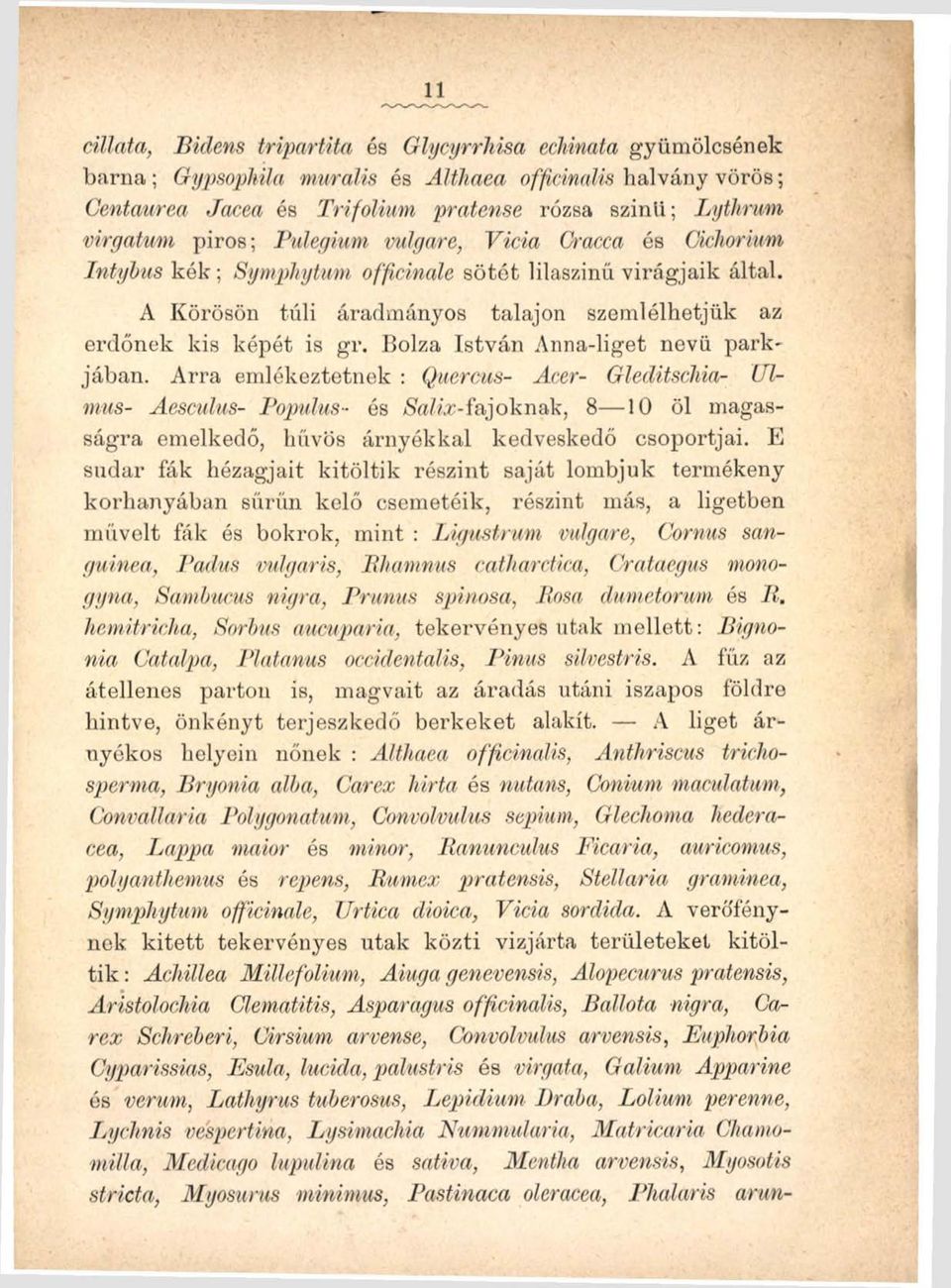 A Körösön túli áradmányos talajon szemlélhetjük az erdőnek kis képét is gr. Bolza István Anna-liget nevű parkjában.