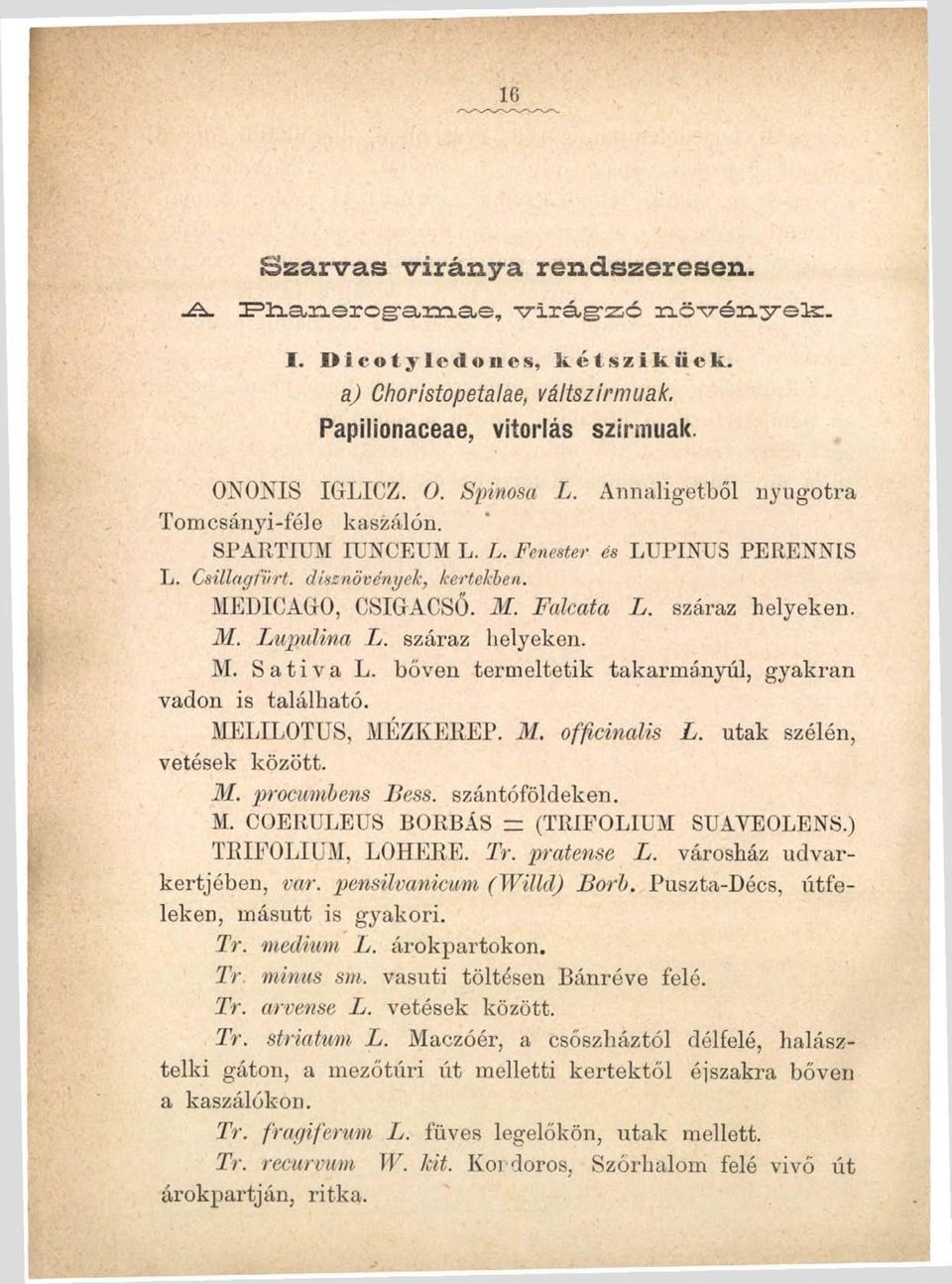 száraz helyeken. M. Sativa L. bőven termeltetik takarmányai, gyakran vadon is található. MELILOTUS, MÉZKEREP. 31. officinalis L. utak szélén, vetések között. 31. procumbens Bess, szántóföldeken. M. COERULEUS BORBÁS = (TRIFOLIUM SUAYEOLENS.