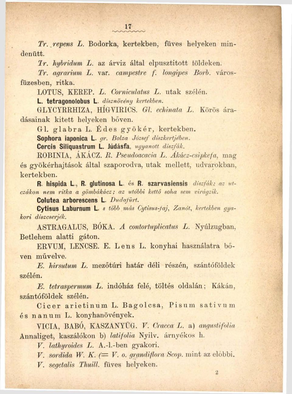 Sophora iaponica L. gr. Bolza József díszkertjében. Cercis Siliquastrum L. Júdásfa, ugyanott díszfák. ROBINIA, ÁKÁCZ. It. Pseudoacacia L.