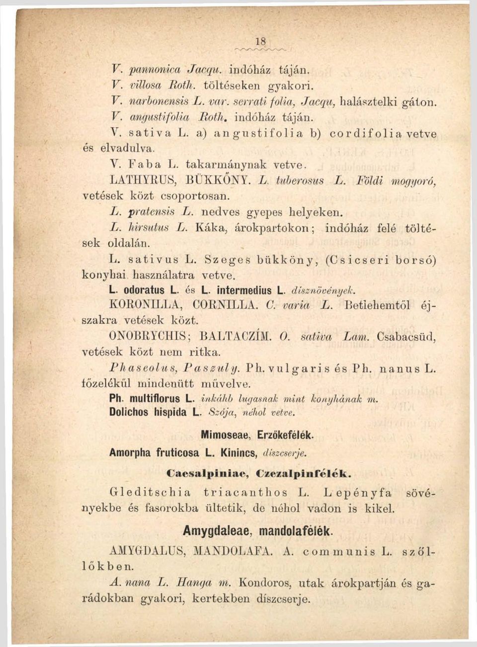 nedves gyepes helyeken. L. hirsutus L. Káka, árokpartokon; indóház felé töltések oldalán. L. sativus L. Szeges bükköny, (Csicseri borsó) konyhai használatra vetve. L. odoratus L. és L. intermedius L.