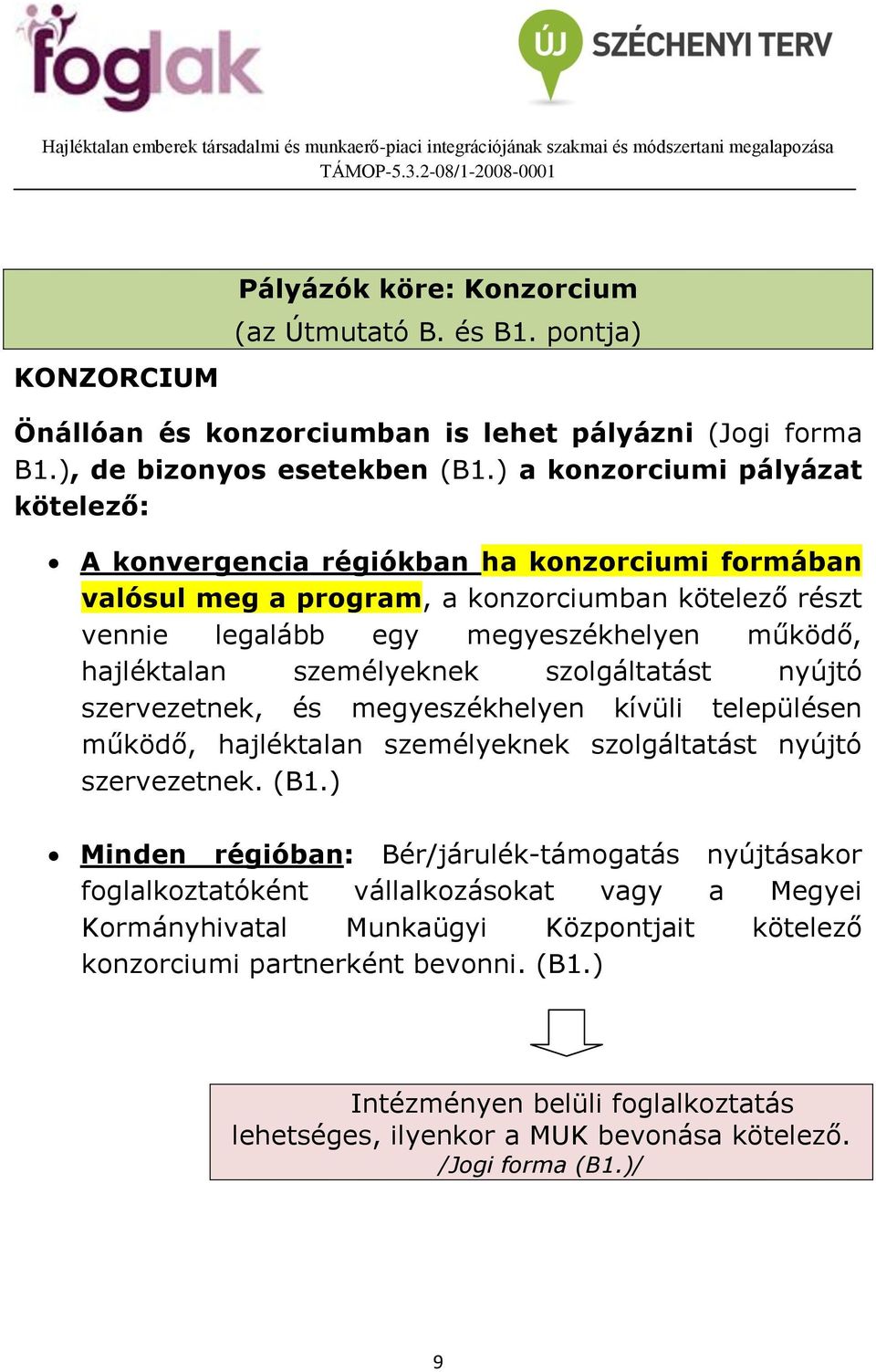 személyeknek szolgáltatást nyújtó szervezetnek, és megyeszékhelyen kívüli településen működő, hajléktalan személyeknek szolgáltatást nyújtó szervezetnek. (B1.