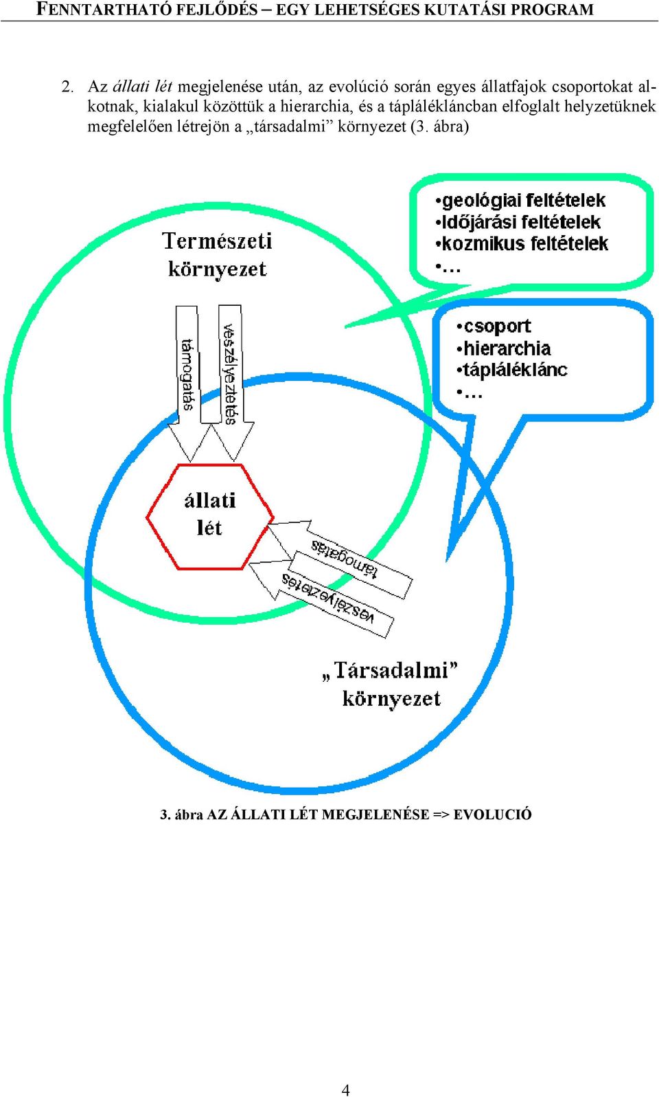 a táplálékláncban elfoglalt helyzetüknek megfelelően létrejön a