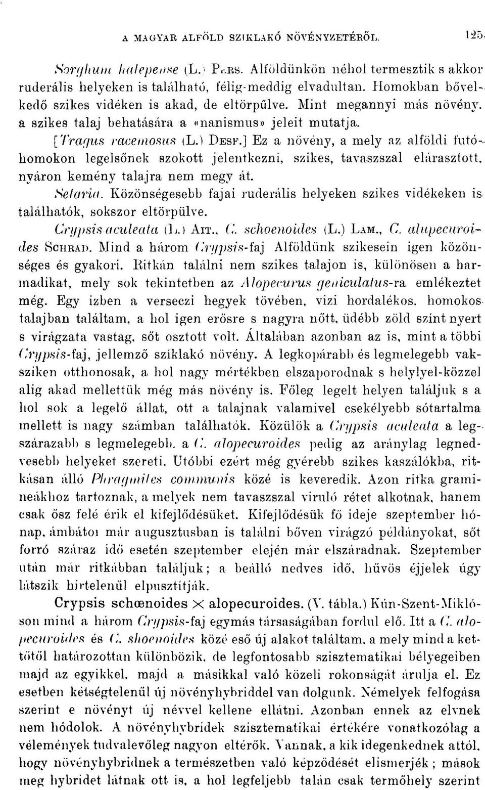 ] EZ a növény, a mely az alföldi futóhomokon legelsőnek szokott jelentkezni, szikes, tavaszszal elárasztott, nyáron kemény talajra nem megy át. Se!aria.