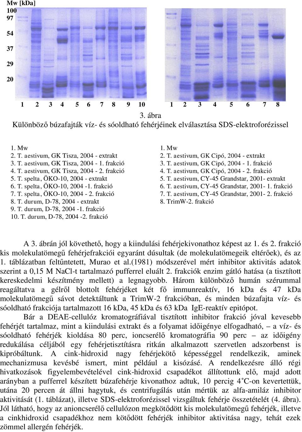 frakció 8. T. durum, D-78, 2004 - extrakt 9. T. durum, D-78, 2004-1. frakció 10. T. durum, D-78, 2004-2. frakció 1. Mw 2. T. aestivum, GK Cipó, 2004 - extrakt 3. T. aestivum, GK Cipó, 2004-1.