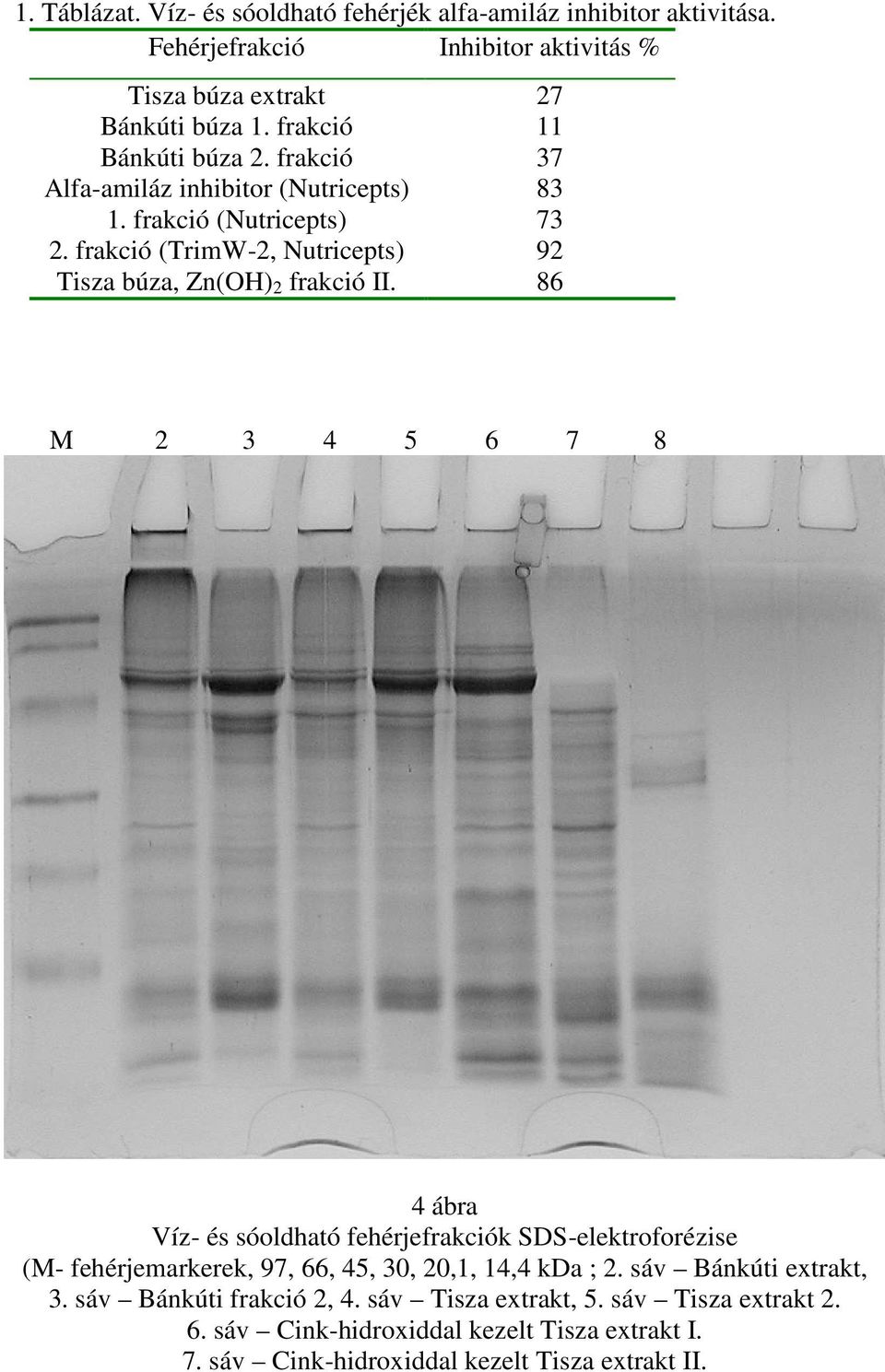 frakció (TrimW-2, Nutricepts) 92 Tisza búza, Zn(OH) 2 frakció II.