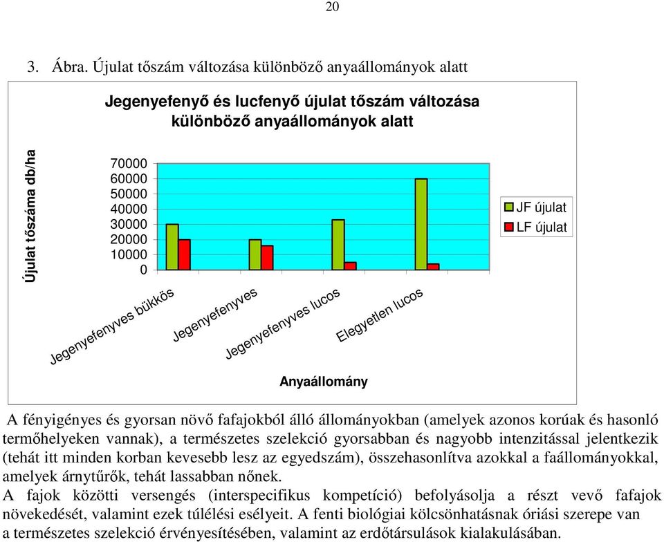 Jegenyefenyves bükkös Jegenyefenyves Jegenyefenyves lucos Anyaállomány Elegyetlen lucos JF újulat LF újulat A fényigényes és gyorsan növı fafajokból álló állományokban (amelyek azonos korúak és