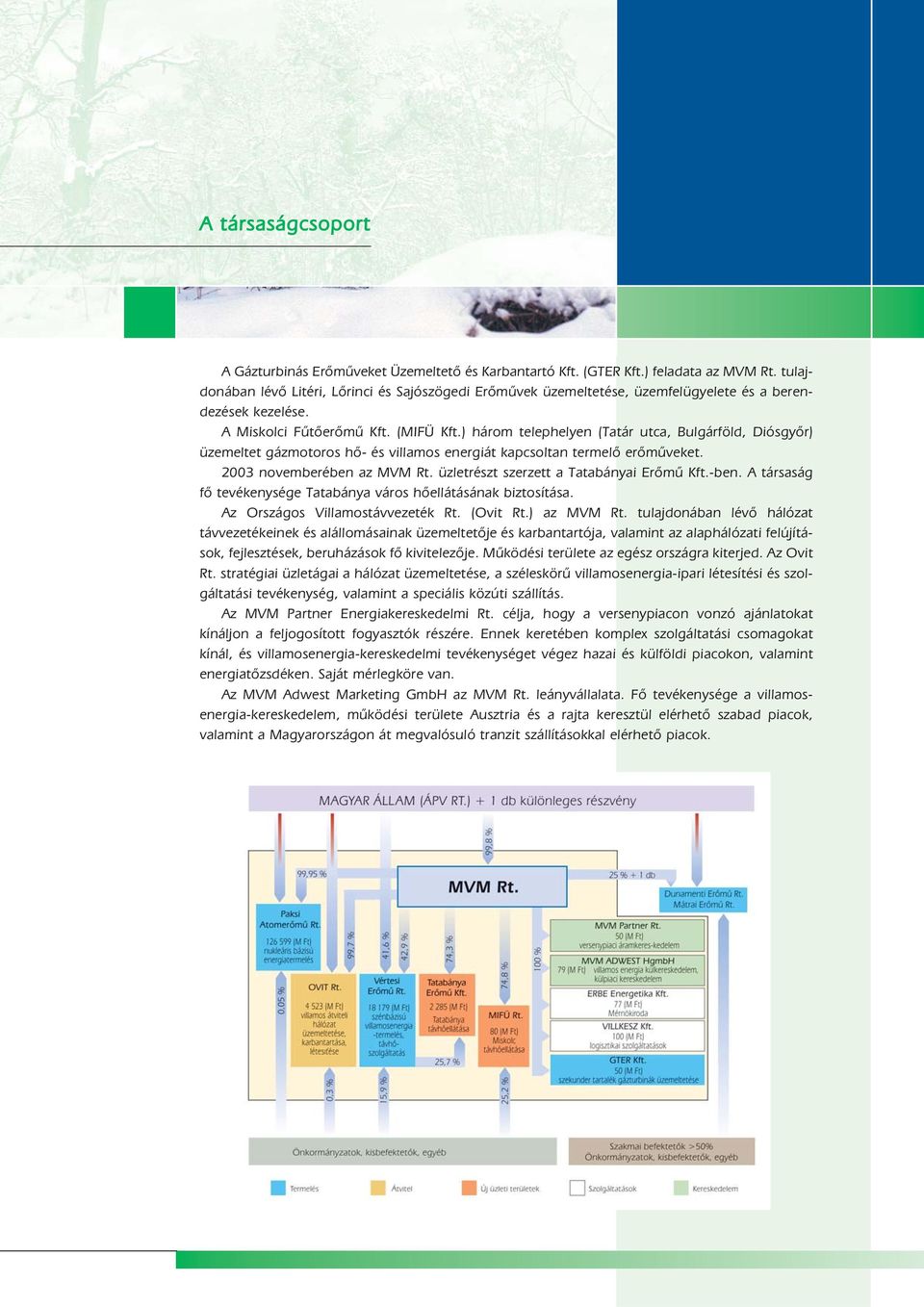 ) három telephelyen (Tatár utca, Bulgárföld, Diósgyõr) üzemeltet gázmotoros hõ- és villamos energiát kapcsoltan termelõ erõmûveket. 2003 novemberében az MVM Rt.