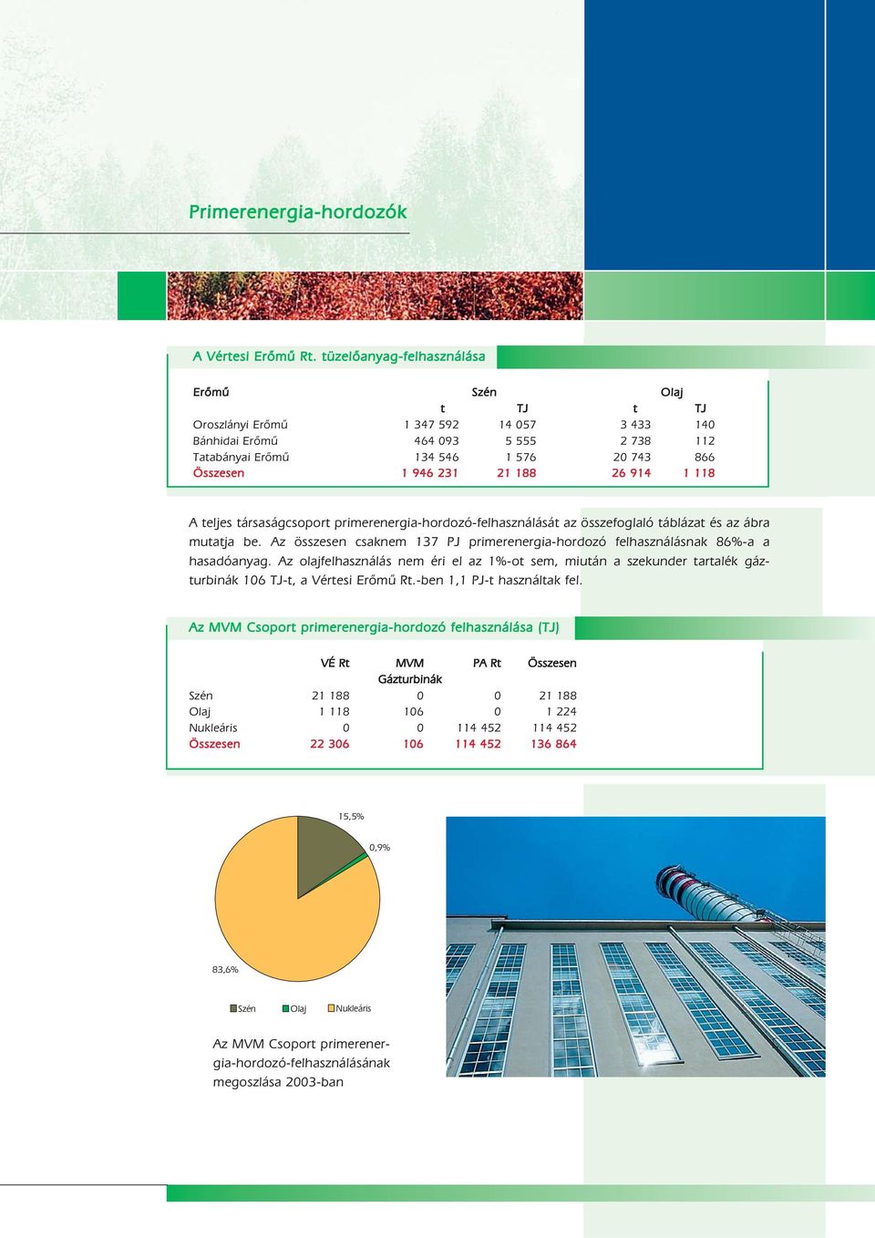188 26 914 1 118 A teljes társaságcsoport primerenergia-hordozó-felhasználását az összefoglaló táblázat és az ábra mutatja be.
