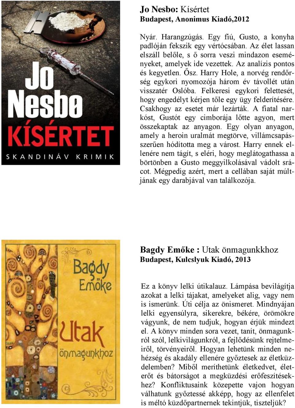 Harry Hole, a norvég rendőrség egykori nyomozója három év távollét után visszatér Oslóba. Felkeresi egykori felettesét, hogy engedélyt kérjen tőle egy ügy felderítésére.