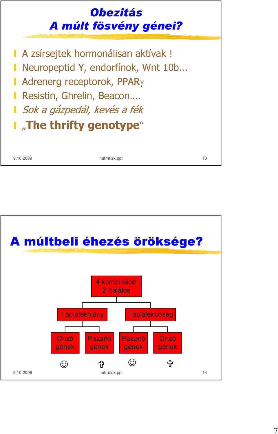 Sok a gázpedál, kevés a fék The thrifty genotype 9.10.2009 nutrmisk.