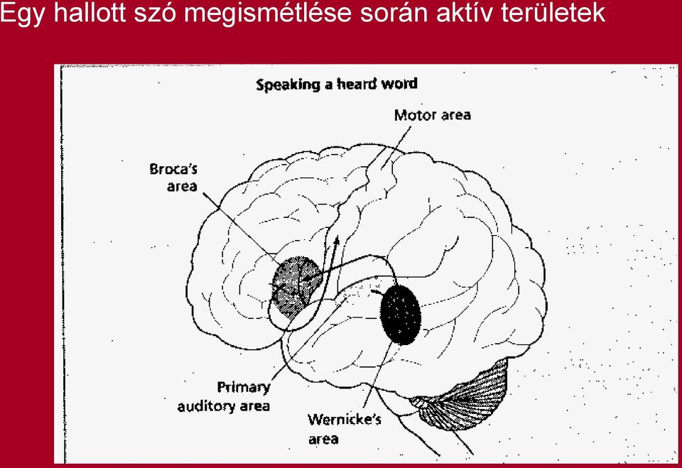 megismétlése