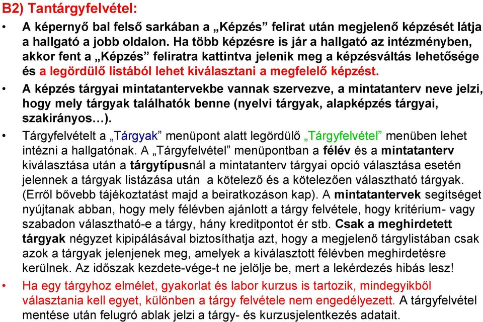 A képzés tárgyai mintatantervekbe vannak szervezve, a mintatanterv neve jelzi, hogy mely tárgyak találhatók benne (nyelvi tárgyak, alapképzés tárgyai, szakirányos ).