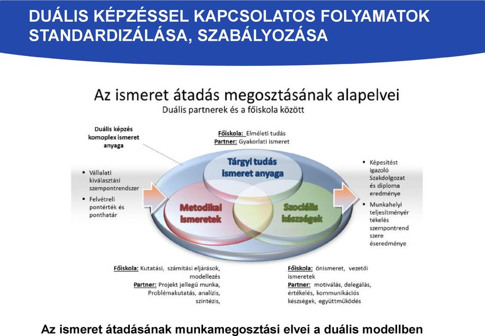 munkamegosztási