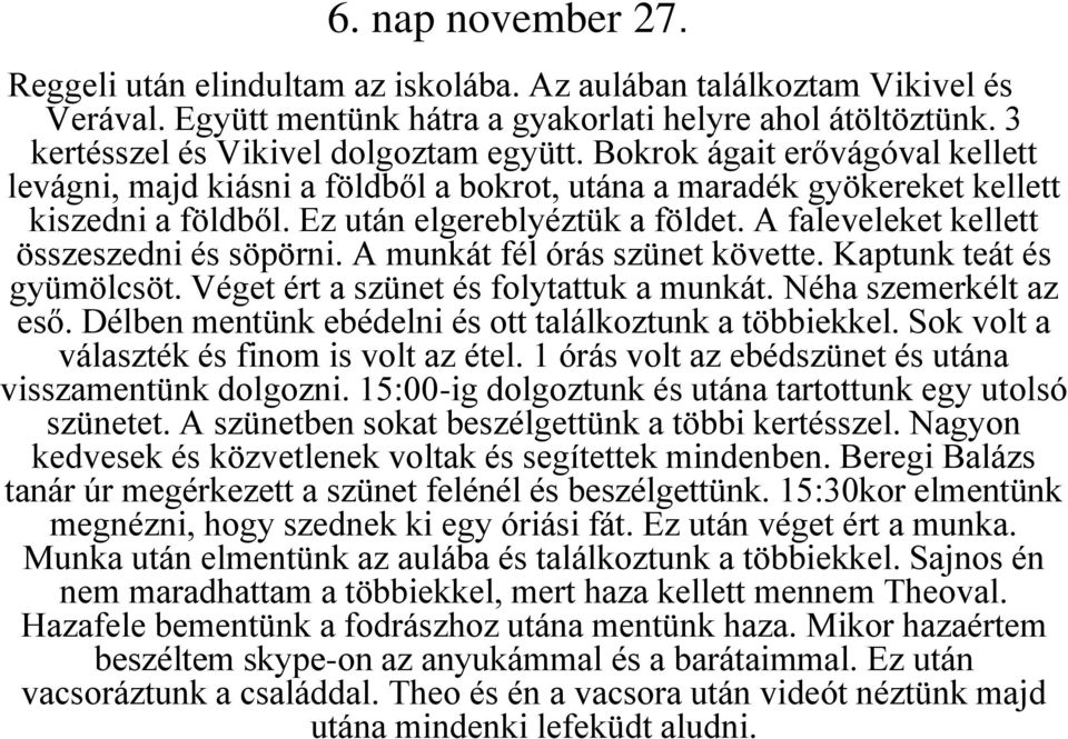 A faleveleket kellett összeszedni és söpörni. A munkát fél órás szünet követte. Kaptunk teát és gyümölcsöt. Véget ért a szünet és folytattuk a munkát. Néha szemerkélt az eső.