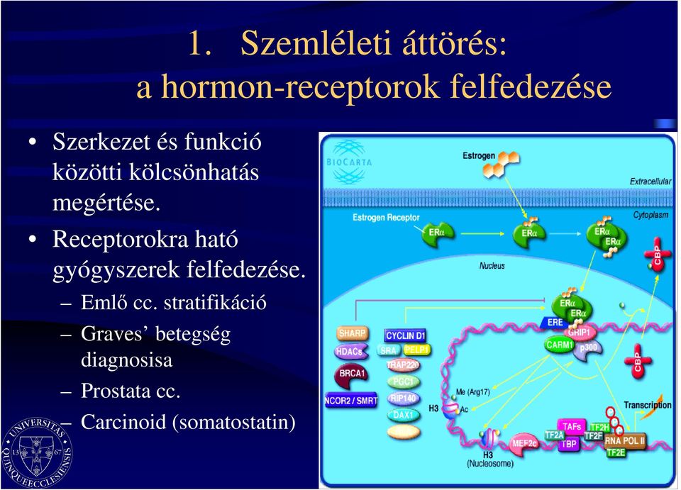 Receptorokra ható gyógyszerek felfedezése. Emlı cc.