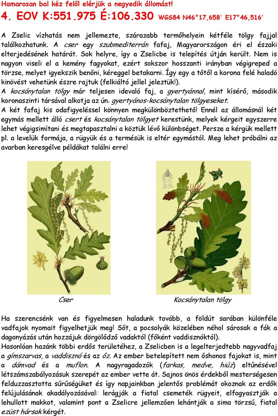 A cser egy szubmediterrán fafaj, Magyarországon éri el északi elterjedésének határát. Sok helyre, így a Zselicbe is telepítés útján került.