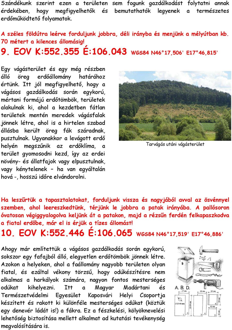 043 WGS84 N46 17,506' E17 46,815' Egy vágásterület és egy még részben álló öreg erdıállomány határához értünk.