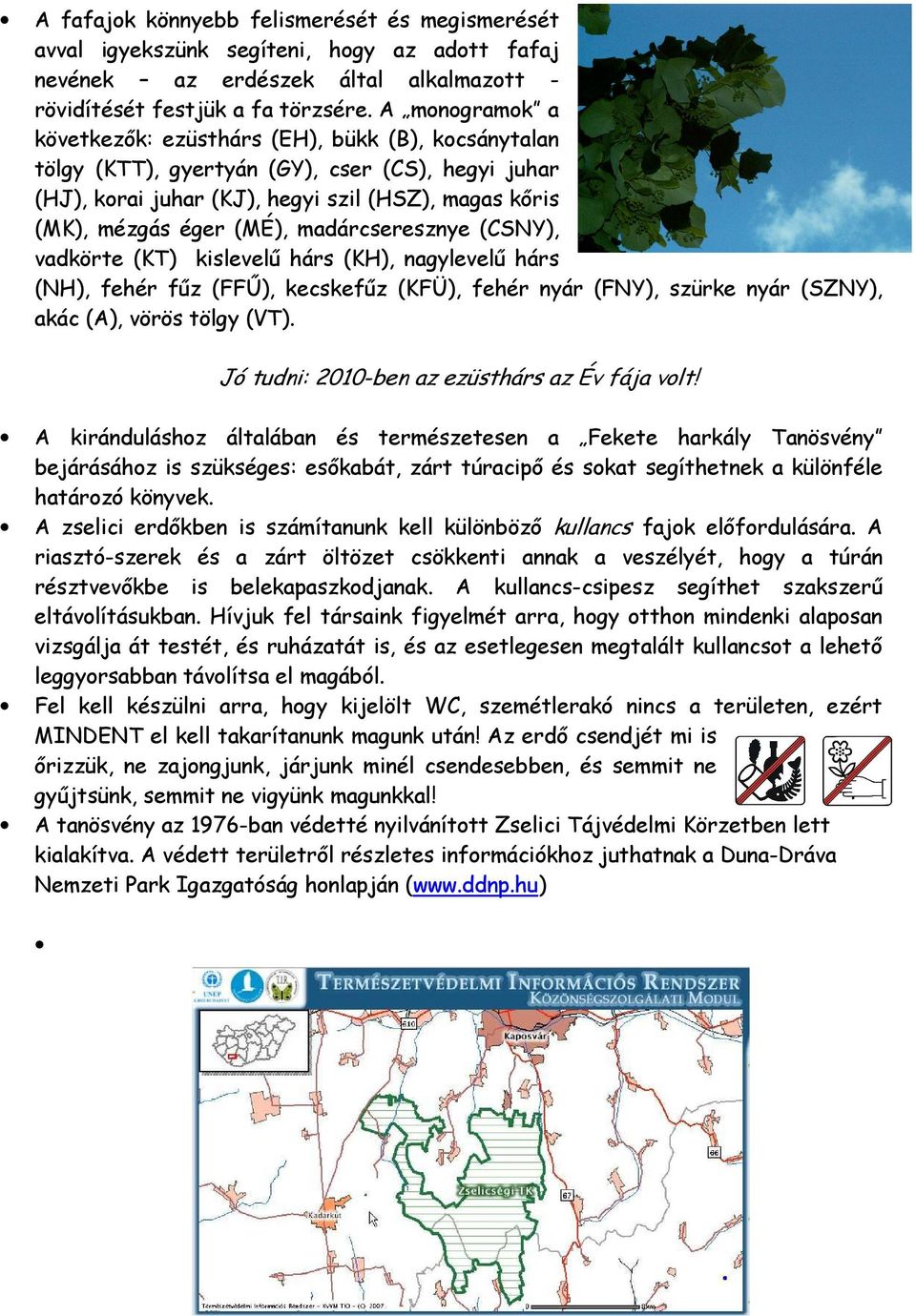 madárcseresznye (CSNY), vadkörte (KT) kislevelő hárs (KH), nagylevelő hárs (NH), fehér főz (FFŐ), kecskefőz (KFÜ), fehér nyár (FNY), szürke nyár (SZNY), akác (A), vörös tölgy (VT).