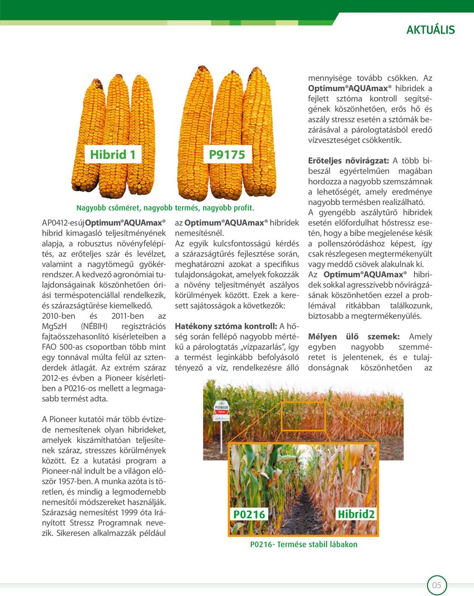 2010-ben és 2011-ben az MgSzH (NÉBIH) regisztrációs fajtaösszehasonlító kísérleteiben a FAO 500-as csoportban több mint egy tonnával múlta felül az sztenderdek átlagát.