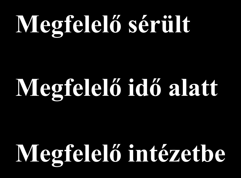 Tömeges balesetek és katasztrófák ellátása között elvi különbség nincs 1.