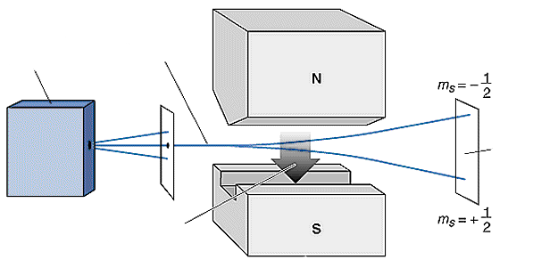 A spin Inhomogén (nem homogén= nagysága, és/vagy iránya változik a térben) mágneses térben az s-állapotú H-atomokból kétféle különböztethető meg.