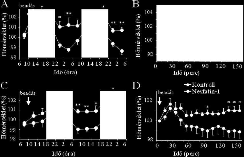 15. ábra: A nesfatin-1 (25pmol) hatása a patkányok testhőmérsékletére.