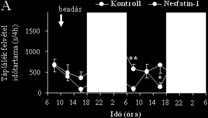 B nappali beadás kezelés 0-24h 24-48h n Táp fogyasztás kontroll 3,6 ± 0,9 1,9 ± 1,3 7 változása (g) nesfatin-1-4,3 ± 1,8* 4,1 ± 1,1 # 7 Víz fogyasztás kontroll 3,7 ± 1,4 4,0 ± 3,1 7 változása (g)