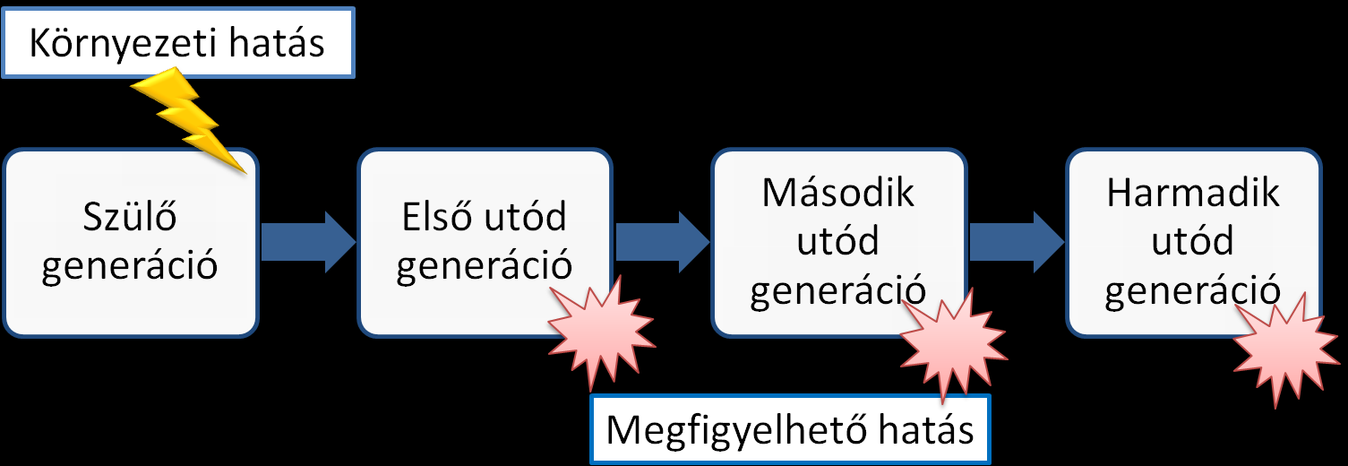 a következmények alapján