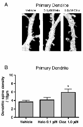 Critchlow et al.