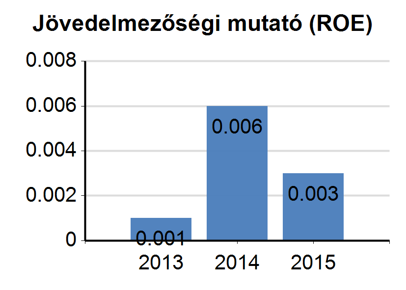 14. Részletes pénzügyi mutatók értékelése Besorolás: Gyenge Besorolás: Gyenge Trend: Romlik Trend: Romlik Besorolás: Alacsony Besorolás: Jó Trend: Stagnál Trend: Stagnál