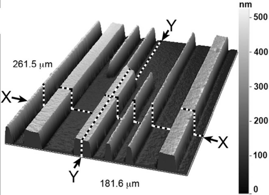 7. ábra. SEM kép az 1.5 µm vastag DLC filmben, RIE-vel kialakított rácsról [20] I.2.1.d.