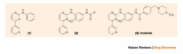 Discovery of Gleevec Selective tyrosine kinase inhibitor for chronic myelogenous leukemia TK BCR-ABL created by chromosomal translocation, found