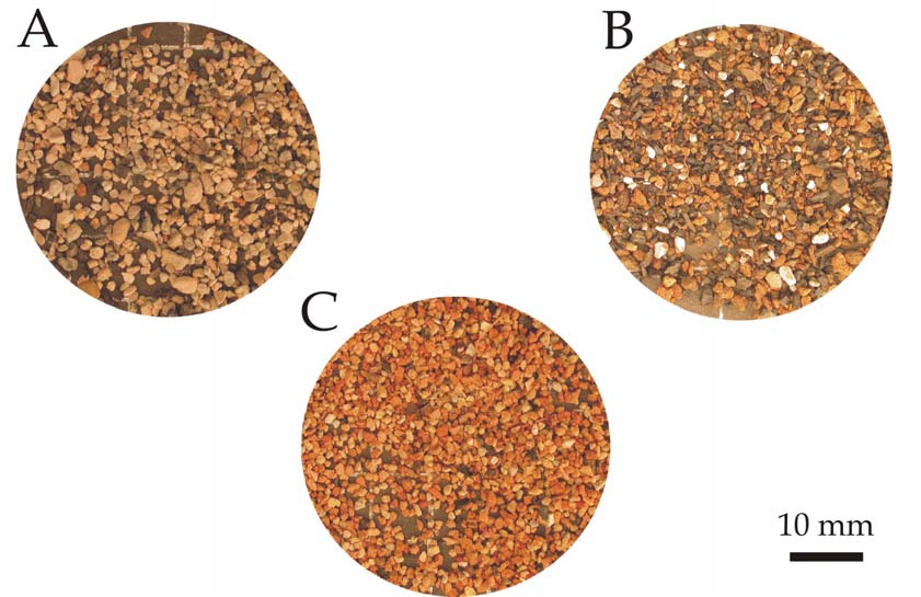 Vizsgált anyag és munkamódszerek A vizsgálat tárgyát az Allocaudaták részéről 3 premaxilla- (MTM V 2008.22.1., V 2008.23.1., V 2008.24.1.), 2 dentale (MTM V 2008.25.1., V 2008.26.1.) és 26 dentaletöredék (MTM V 2008.