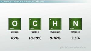 - szénforgalom globálisan és az ökológiai rendszerekben CO 2 és CH 4 kibocsátás