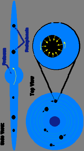 In the Nebular Hypothesis, a cloud of gas and dust collapsed by gravity begins to spin faster because of angular momentum conservation.