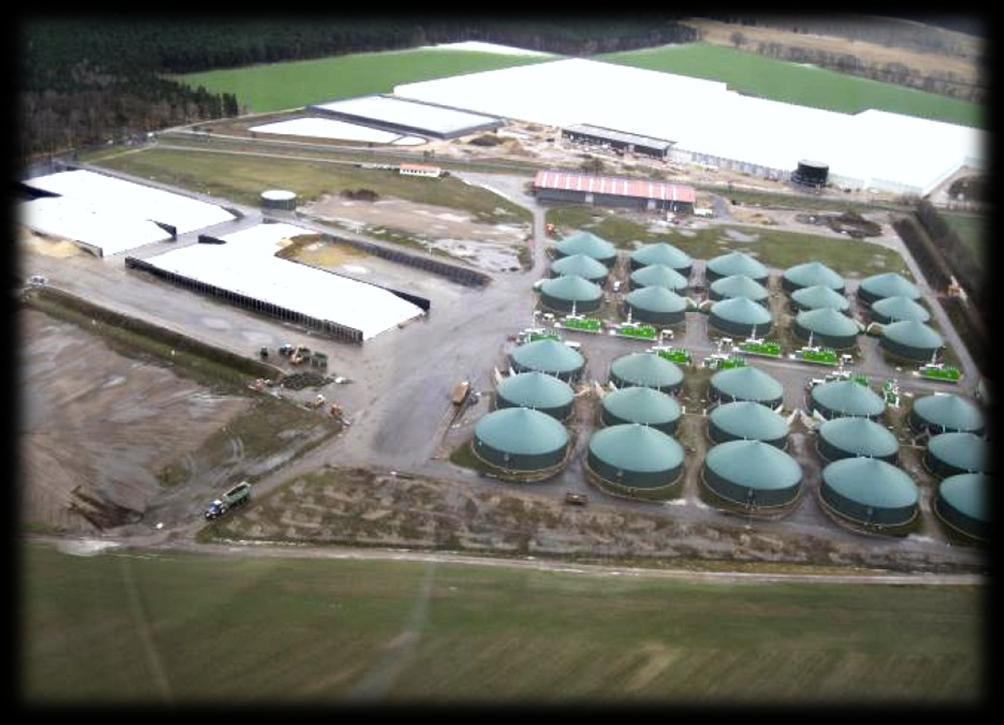 Biogáz tüzelésű kapcsolt üzemű rendszer 10 ha zöldséghajtató Felgentreu,
