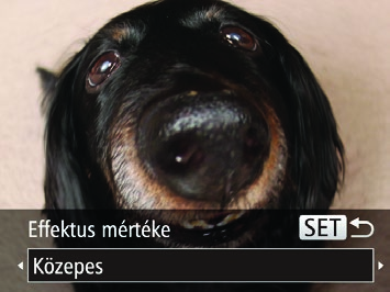 Speciális effektusok alkalmazása A készített képekhez változatos effektusokat adhat. 1 Válasszon egy felvételi módot. Válasszon egy felvételi ot a Különleges témák szakasz (= 40) 1. lépését követve.