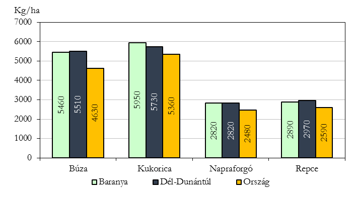 nagyjából ugyanilyen mértékben csökkent. A hektáronkénti átlagtermés (6940 kg) a 2012. évi szintet bő egyharmadával meghaladta.