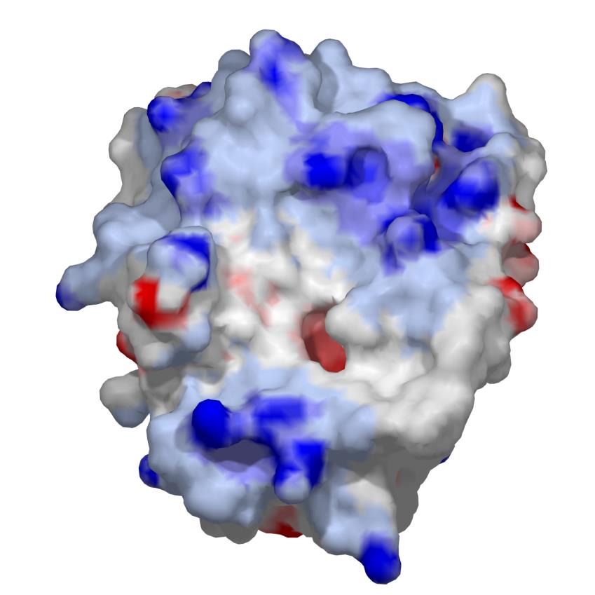 Katona et al. J.Mol.Biol.