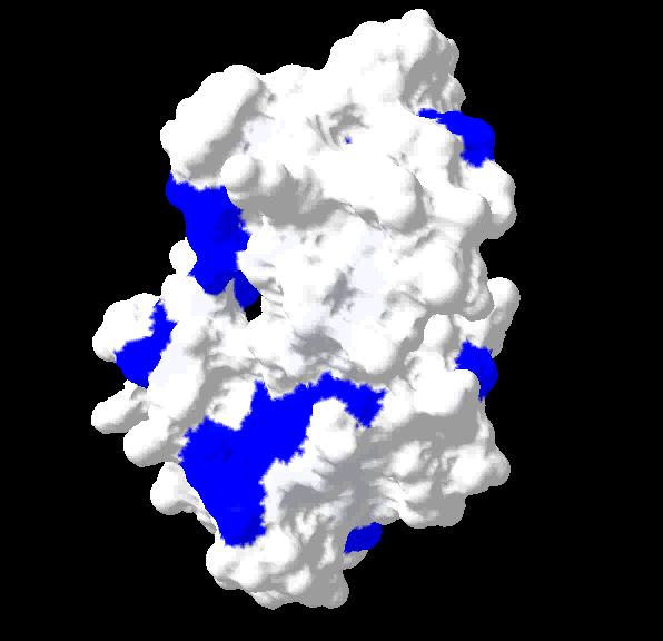 Felulet, nmr syineyes alapjan