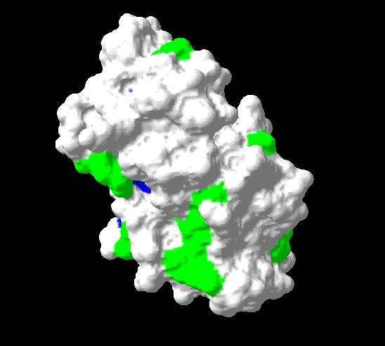 Felulet, nmr szinezes