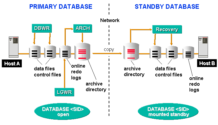 Data Guard