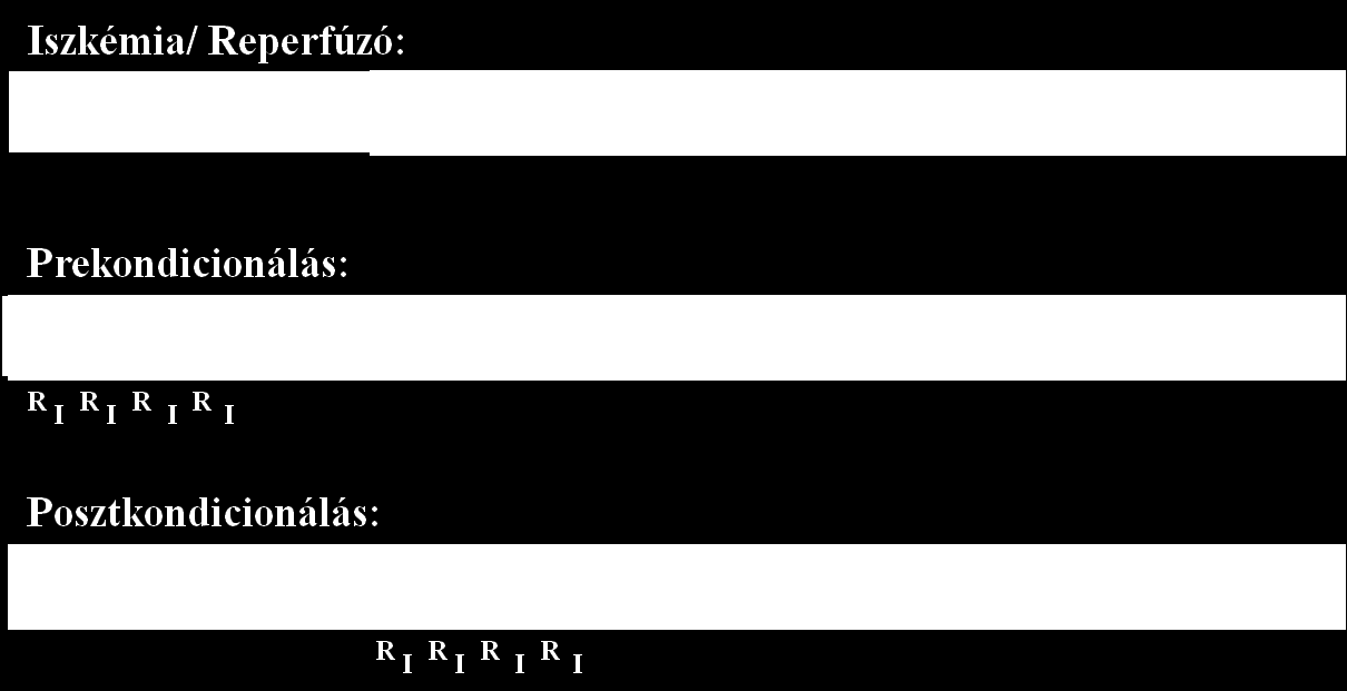 prekondicionálásnak nevezzük. Kísérletes alkalmazhatóságát szívben 37,38, vázizmokban 39, agyban 40, bélben 41,42 és vesében 43,44 is felismerték.