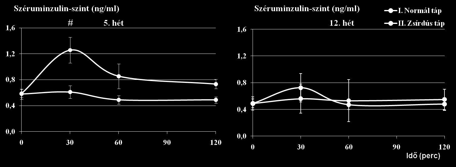 28. ábra: Széruminzulin-koncentráció az idő függvényében az OGTT 0., 30. 60. és 120. percében 5 és 12 heti zsírdús diéta után. (#= p< 0,05 vs Zsírdús táp) A széruminzulin-szintet az OGTT során a 28.