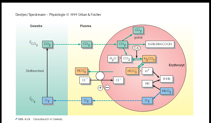 po 2 =150 pco 2 =0.