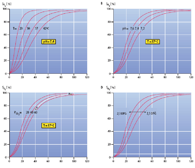 ph vér = 7.38-7.42 po 2 (Hgmm) po 2 (Hgmm) Bohr-effektus csökkenés növekedés po 2 (Hgmm) po 2 (Hgmm) A hemoglobin fajtái 1. OxiHb (oxigenált) 2. DezoxiHb (deoxigenált - redukált), sötét szín 3.