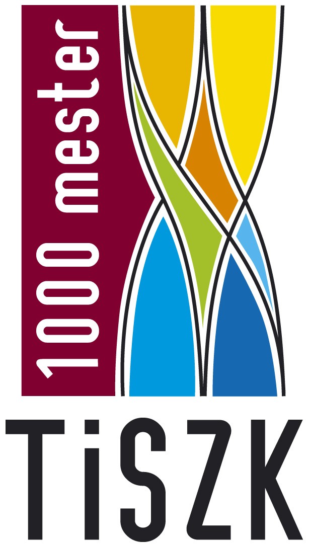 1000 MESTER TISZK IRÁNYÍTÁSI KÉZIKÖNYV 2009. Hatályba lépett: sz. határozattal.
