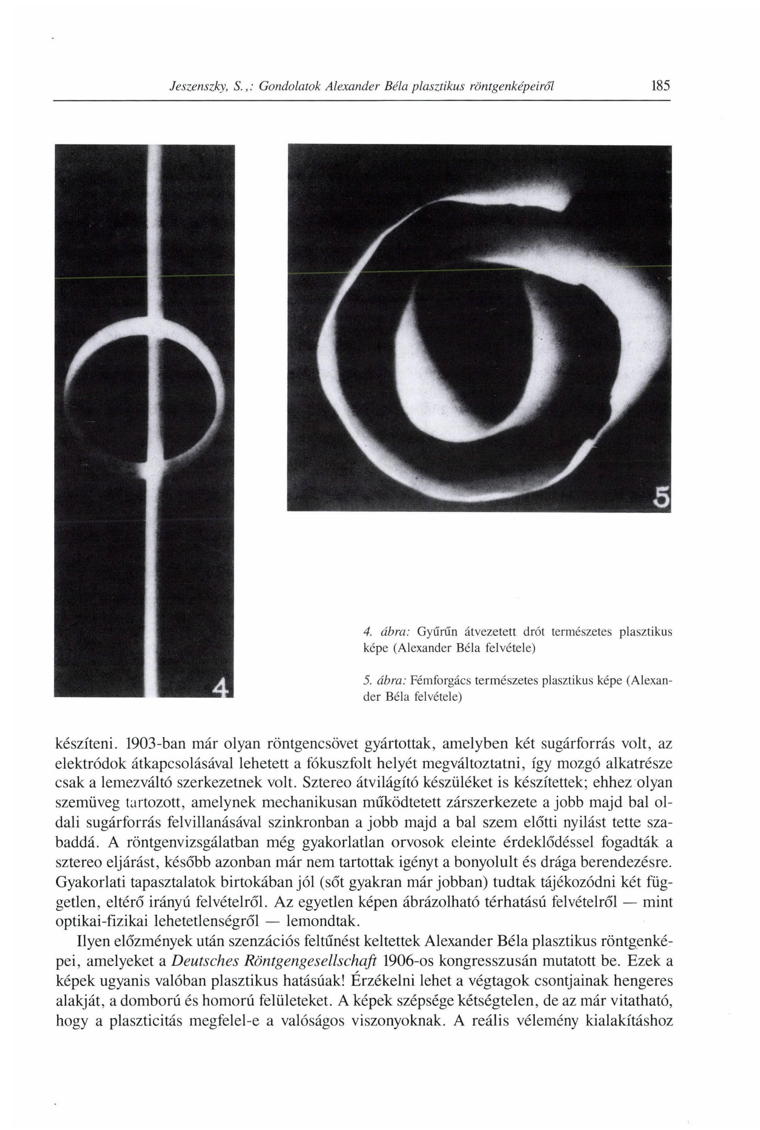 4. ábra: Gyűrűn átvezetett drót természetes plasztikus képe (Alexander Béla felvétele) 5. ábra: Fémforgács természetes plasztikus képe (Alexander Béla felvétele) készíteni.