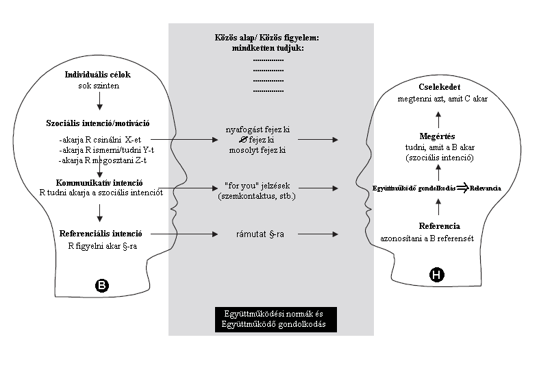 partnerénél), 84 amelyekhez sokféle szociális motiváció és intenció megosztás, kérés, informálás az alaptípusokba sorolhatóak kapcsolódik.