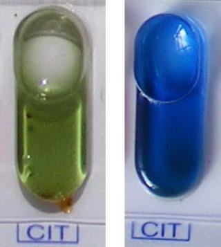 Metilvörös teszt Az Escherichia kultúra laktóz erjesztése közben a táptalaj ph-ját ph 5-ig leszállítja. A növekedés e ph-nál megáll, ez a ph minimum.